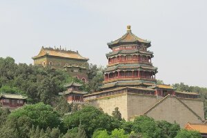 Sunflower Tours China