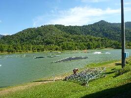 Cable Ski Cairns