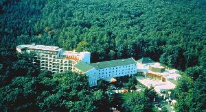 Hungary Hotel 