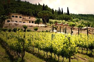 Villa Cilnia Winery