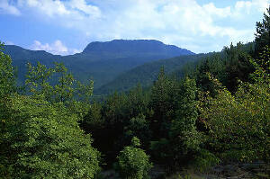 Parco Nazionale delle Foreste Casentinesi, Monte Falterona e Campigna
