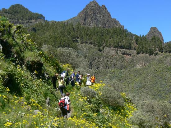 Walk In Gran Canaria - Day Tour