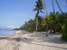 Siquijor Island Philippines Sanctuary