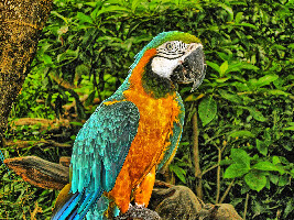 Xel-Ha