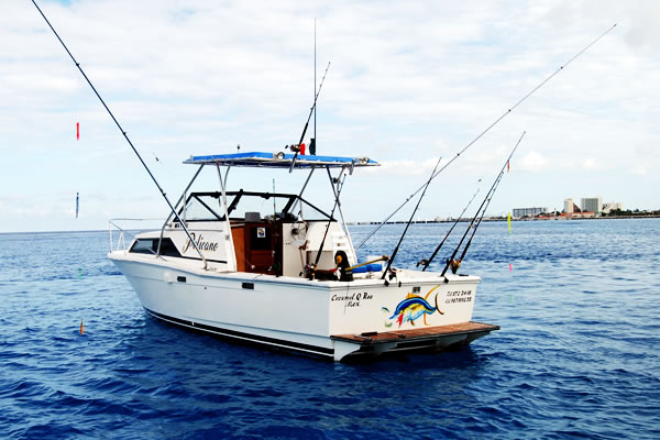 Chichi Charters