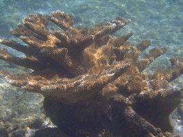 H2O Visions Bonaire