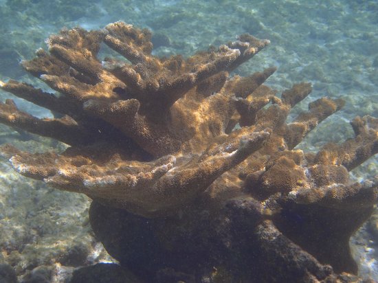 H2O Visions Bonaire