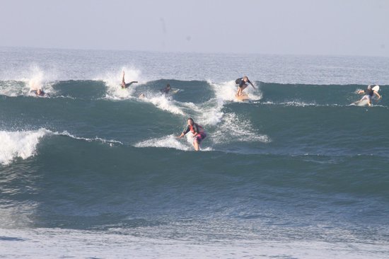 Padang Padang Surf Camp