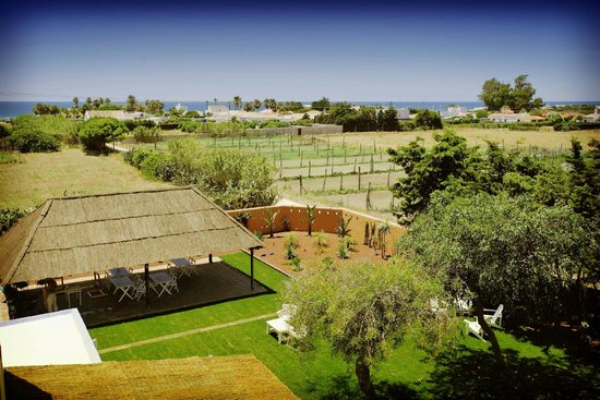 Nexo Surf House