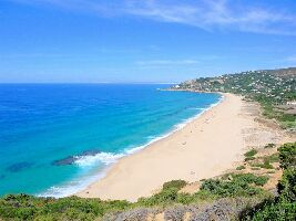 Zahara Surf