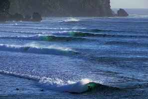 Wave Guru Bali Surf Camp