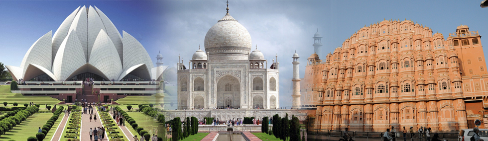 India Travel Bear