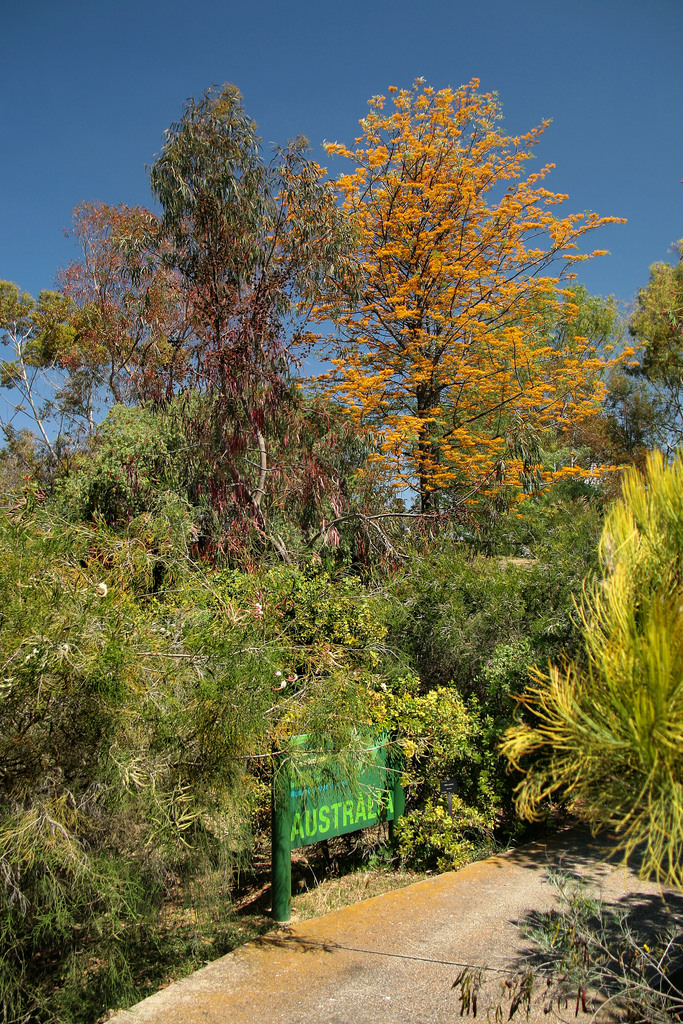 Jardin Botanico de Barcelona