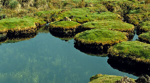 Parque Natural de Purace