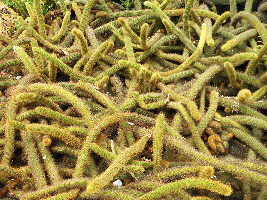 Jardin Botanico de Medellin