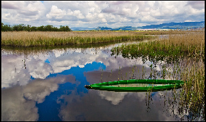 Daimiel Spain National Park