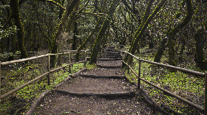 La  Gomera Spain National Park