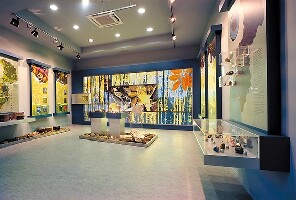 Alexandroupolis Natural History Museum