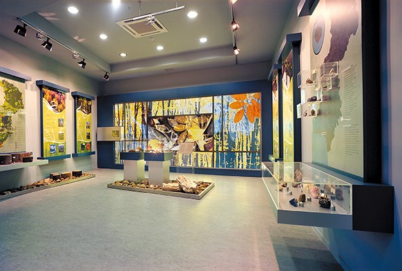 Alexandroupolis Natural History Museum