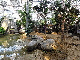 Parco Faunistico le Cornelle