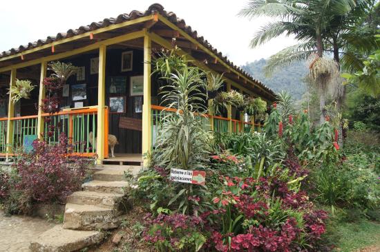 Cali Tours / Birding Colombia