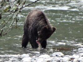 Aboriginal Journeys Wildlife and Adventure Tours