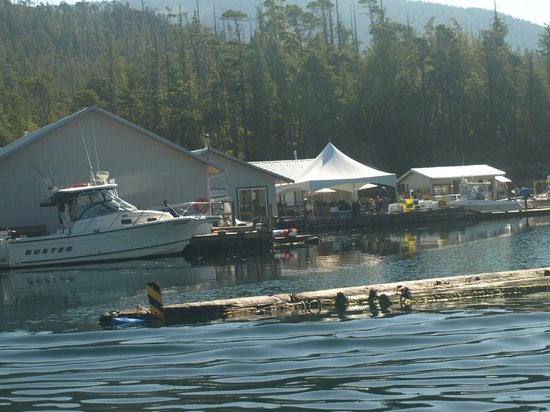 Rodgers Fishing Lodge