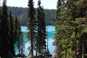 Natural Trekking Tours