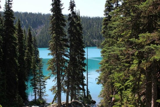 Natural Trekking Tours