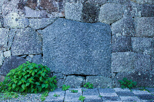 Shizuoka Japan Castle