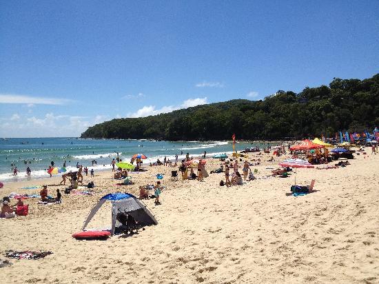 QTour Australia - Day Tours