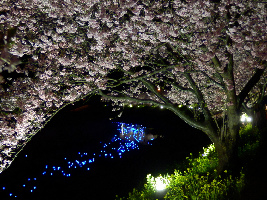 Kawazu-cho Japan Festival