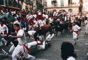 Running of The Bulls Travel