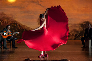Flamencov&aacute; Tanečn&aacute; &Scaron;kola​