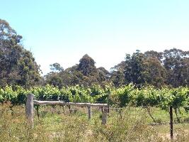 Lakes Entrance Canada Park