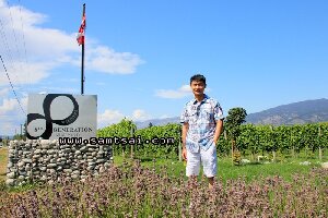 Summerland Canada Vineyard