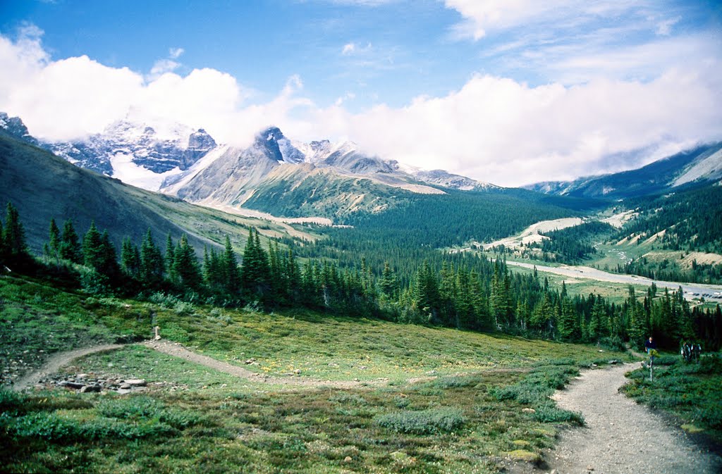 Parker Ridge Trail
