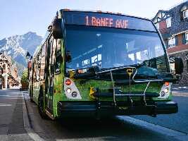 Roam Public Transit Service