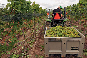 Domaine Rochette Winery