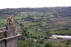 Walking in Etruria