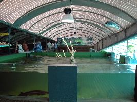 Acuario do Grove