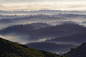 Thadiyandamol Hills