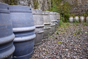 Scotland Scotland Brewery