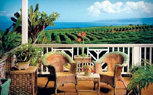 Maui United States Farm