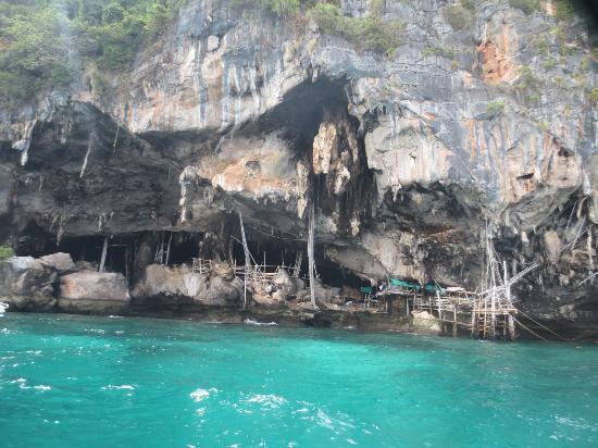 Phuket Pro Dive and Sail Co.