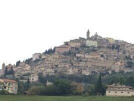 Wine Link Italy