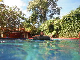 Mango Tree Hostel Bar