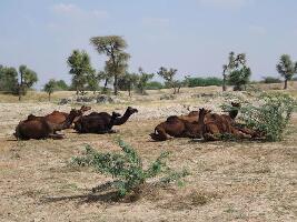 Overlander India - Private Day Tours