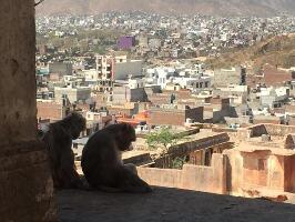 Welcome India Tour - Day Tours