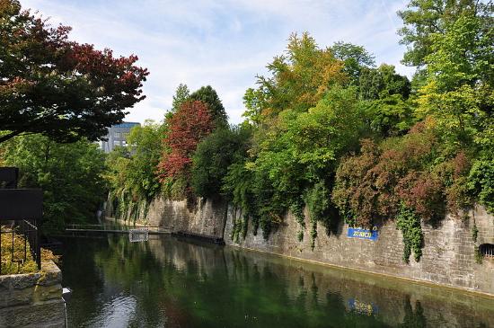Botanical Garden (Botanischer Garten)
